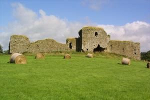 Ruins of Ballymoon Castle in a green County Carlow field