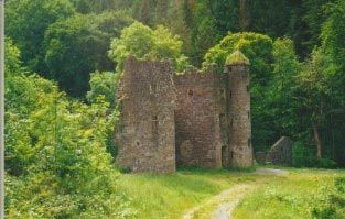 Official tourism photograph of Carey's Castle in County Tipperary
