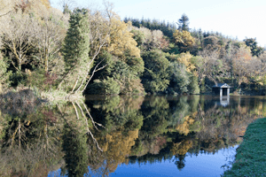Official tourism photograph of Canoeing and Boating at Castlecomer Discovery Park in County Kilkenny