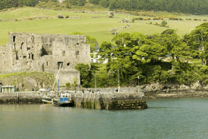 Official tourism photograph of Carlingford Castle in County Louth