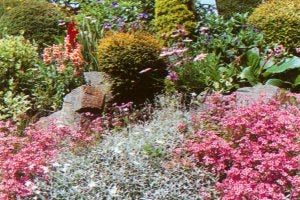Official tourism photograph of Celtic Plantarum Dundrum in County Tipperary