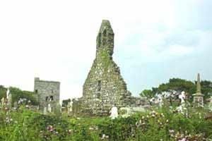 Official tourism photograph of Our Lady's Island Monastery in County Wexford