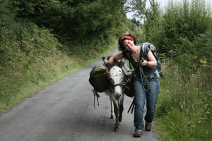 Official tourism photograph of Clissmann Donkey Walking Holidays in County Wicklow