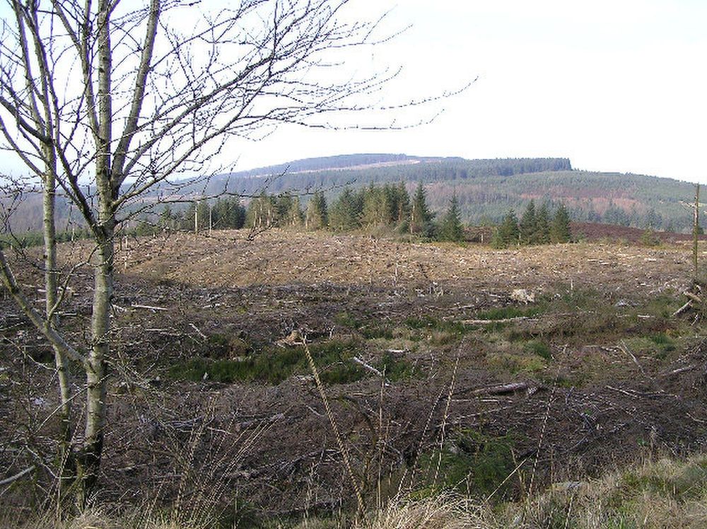 Photograph of Gortin Glen Forest Park in County Tyrone