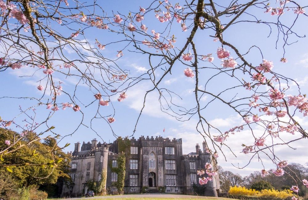 Exterior of Birr Castle surrounded by mature trees in County Offaly