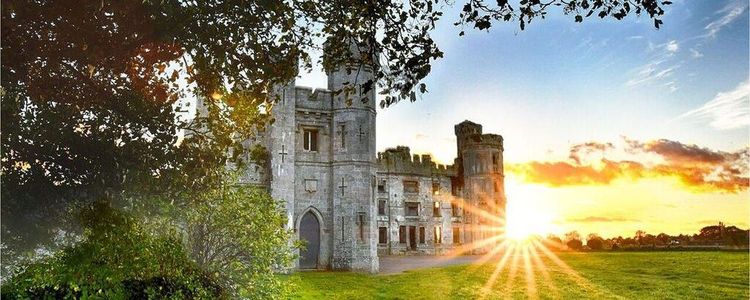 Castellated ruins of Duckett’s Grove framed by trees at sunset