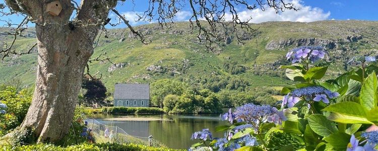 Official tourism photograph of About Ireland Taxi Tours in County Cork