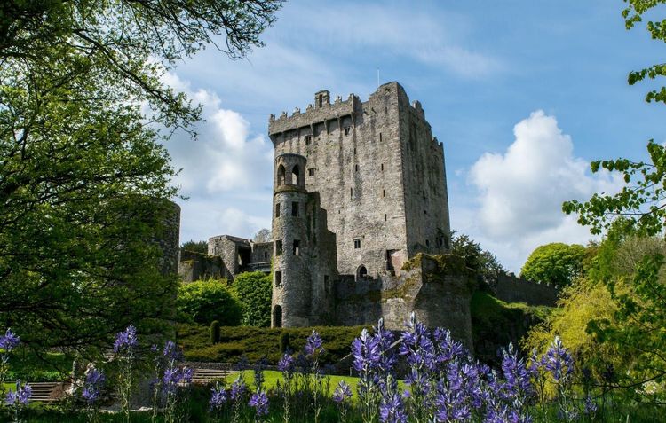 Official tourism photograph of Blarney Castle and Gardens in County Cork