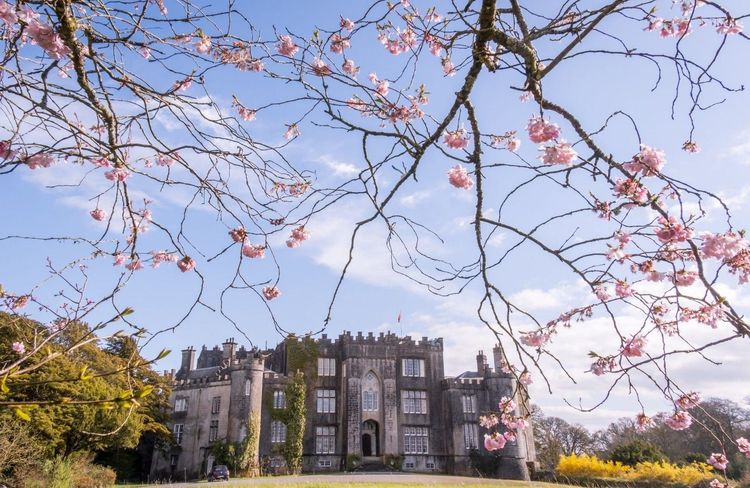 Exterior of Birr Castle surrounded by mature trees in County Offaly