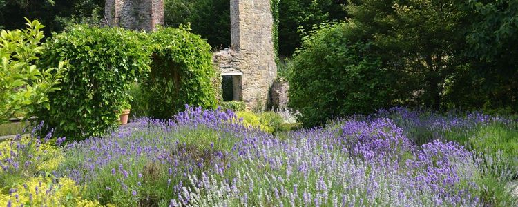 Official tourism photograph of Fairbrook House Garden and Museum in County Waterford