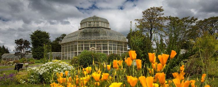 Official tourism photograph of National Botanic Gardens in County Dublin