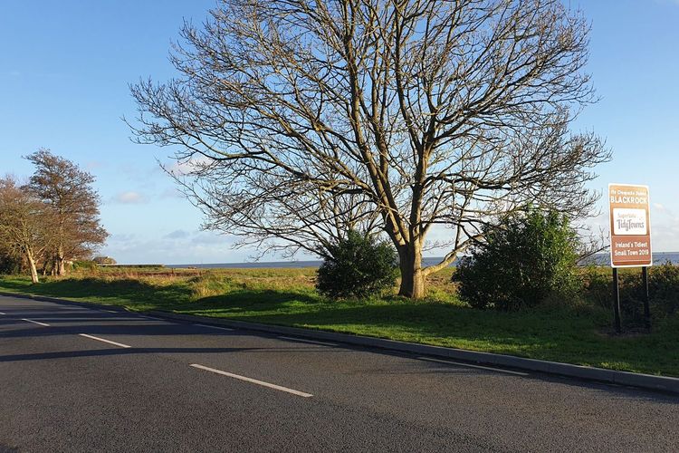 Official tourism photograph of Blackrock Wetlands in County Louth