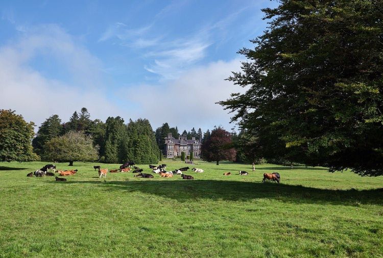 Official tourism photograph of Clonalis House in County Roscommon