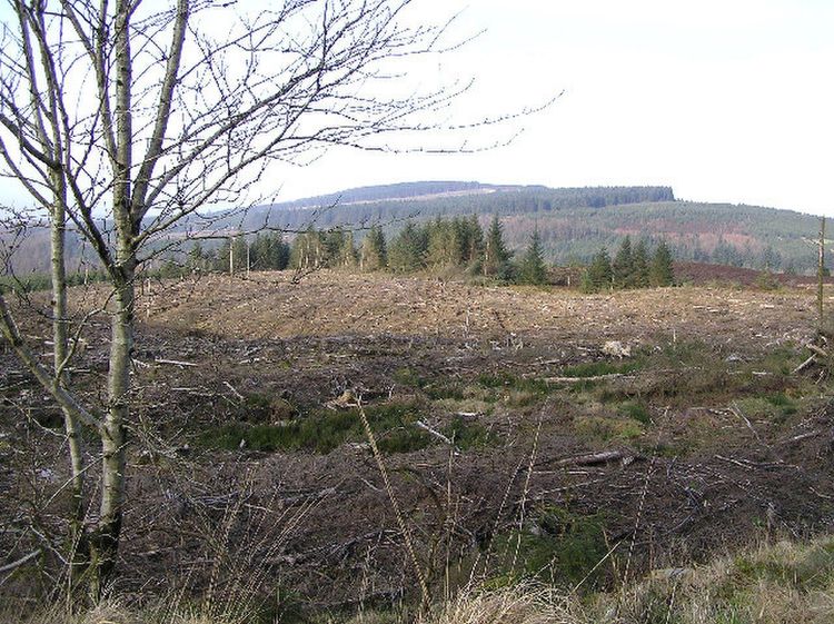 Photograph of Gortin Glen Forest Park in County Tyrone