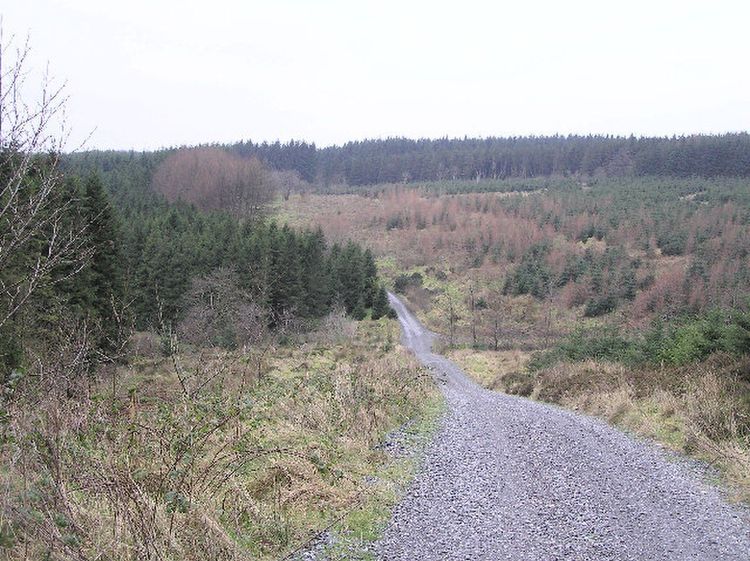 Photograph of Gortin Glen Forest Park in County Tyrone