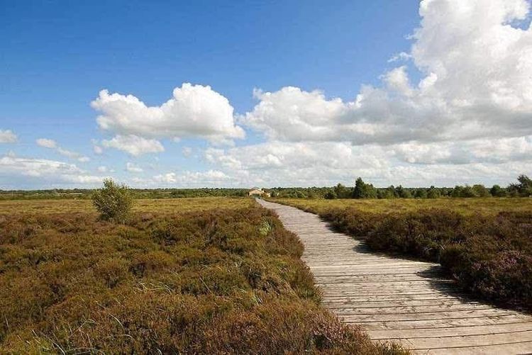 Official tourism photograph of Heart of Ireland Tours in County Westmeath