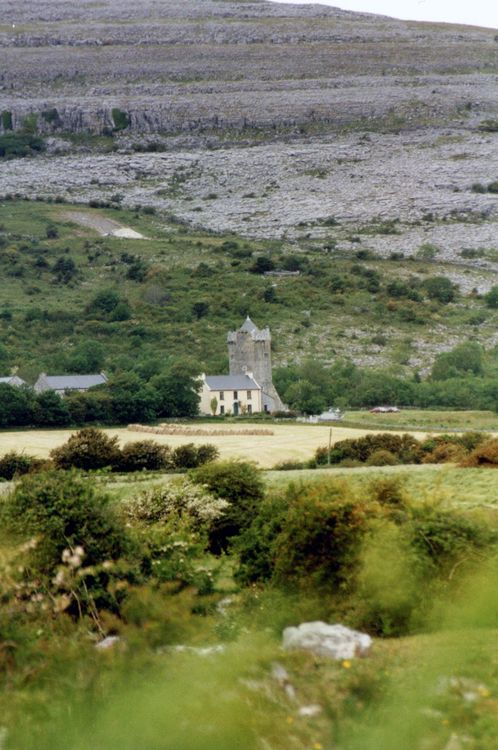 Newtown Castle rising above the Burren College of Art campus in County Clare