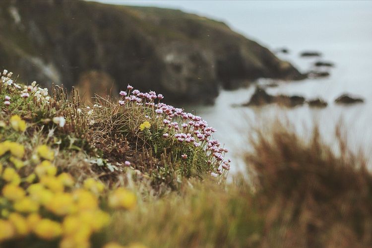 Photograph of Copper Coast Geopark in County Waterford