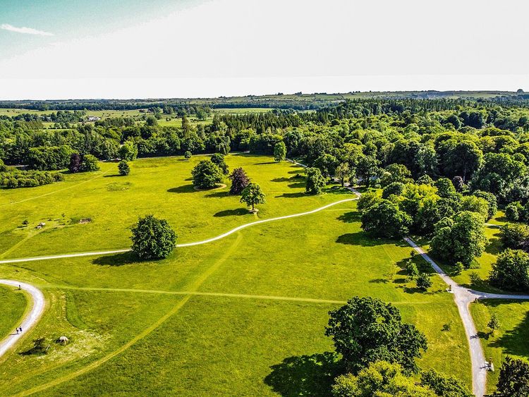 Photograph of Lough Key Forest and Activity Park in County Roscommon
