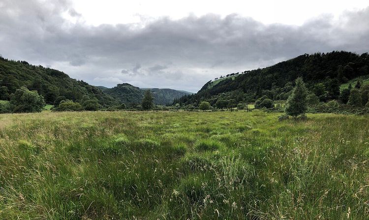 Photograph of Wicklow Mountains National Park in County Wicklow