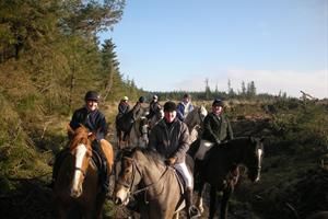 Horse riding at Birr Equestrian Centre in County Offaly